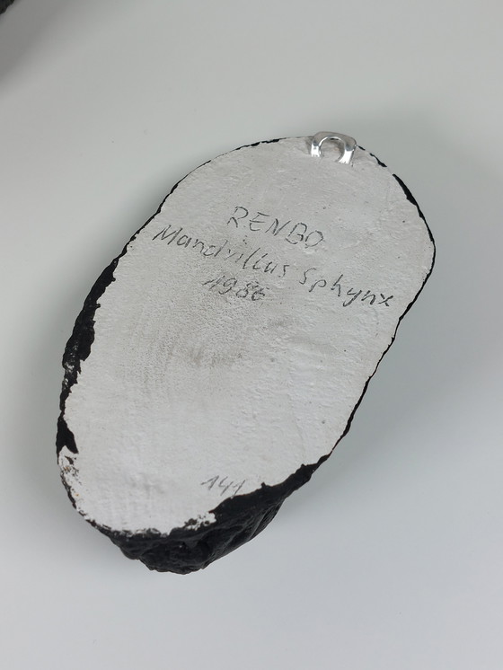 Image 1 of Coppia di rare maschere mortuarie in gesso, scimpanzé, mandrillo, gabinetto delle curiosità