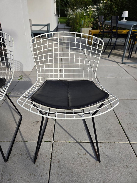 3 vintage Harry Bertoia chairs (Knoll) – Dining chairs, Metal (photo 7 of 8)