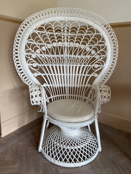 Peacock chair