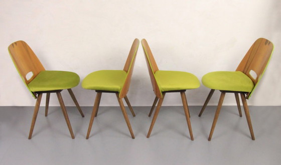 Image 1 of 4x Chaises Tatra "Spring Grass" (herbe de printemps)