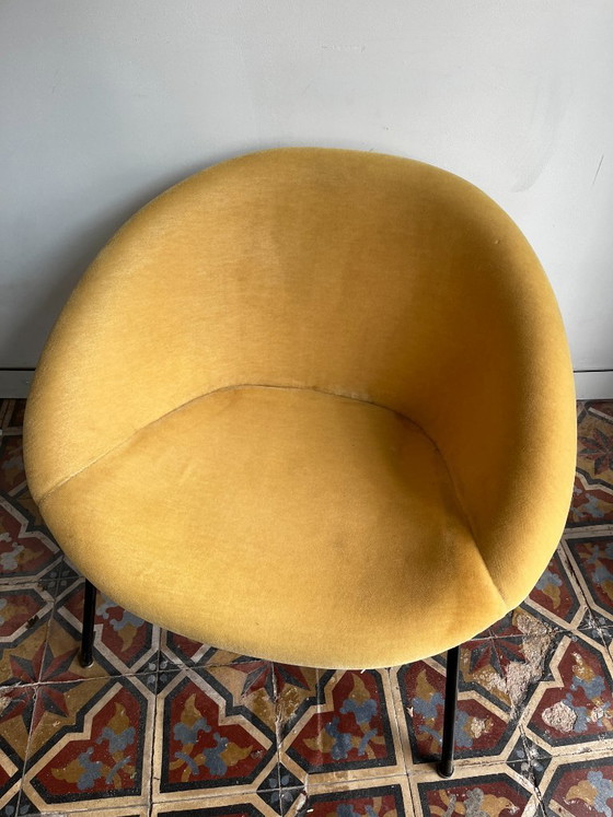 Image 1 of Fauteuil Knoll modèle 369