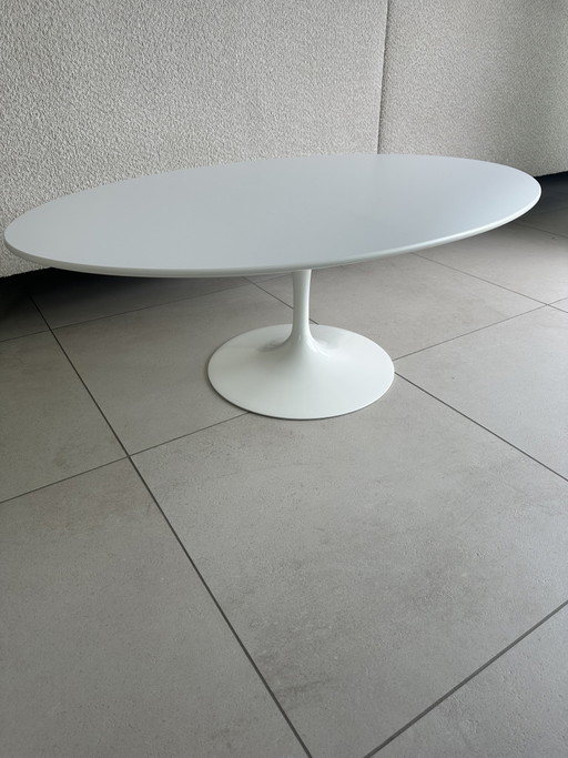 Mesa de centro ovalada Tulip de Knoll Saarinen