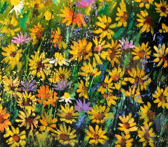 Image 1 of Gänseblümchen