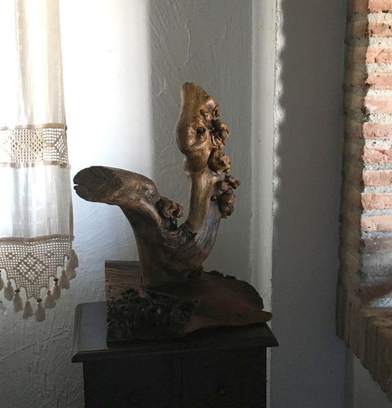 Sculture in legno organico chiamata "Doble Impulso", Marrone, Organic Modern (foto 8 di 12)