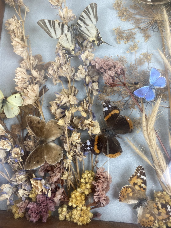 Image 1 of Eingerahmte Schmetterlinge und Blumen