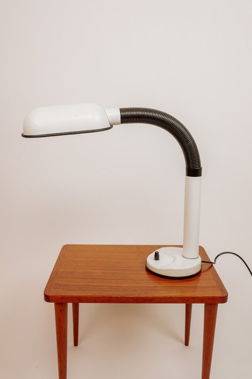 Vintage Hala Schreibtischlampe mit flexiblem Arm, 1950er/60er Jahre