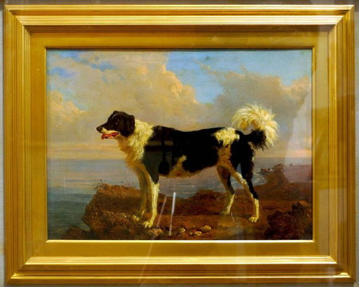 Dog - Oil on Canvas by Filippo Palizzi - Second Half of 19th Century – schilderijen tekeningen, Wood