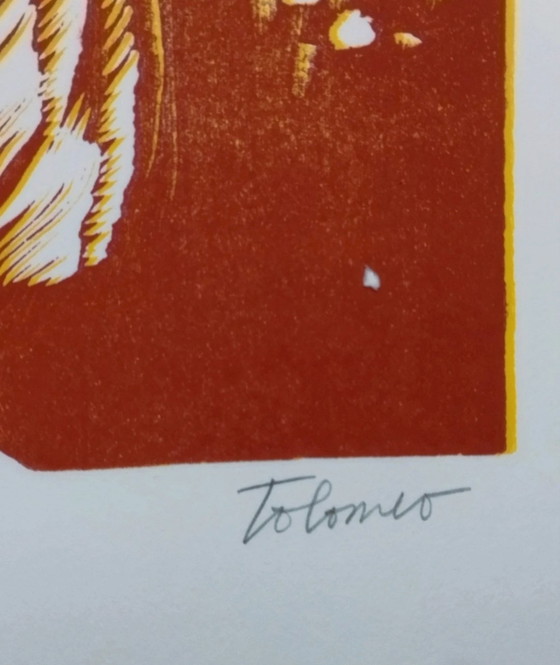 Baudelaire, La sainte jeunesse: Complete folder with linoleum by Carla Tolomeo ex. 75/75, 63x45 cm (photo 8 of 15)