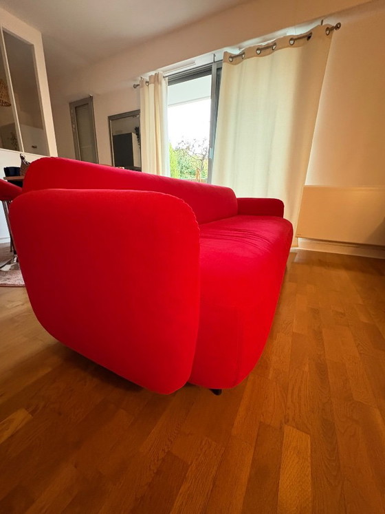 Pedrali 3-5 Sitzer Sofa - Modell Buddy (Roter Samt) – Velvet (photo 2 of 5)