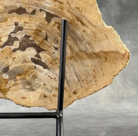 Image 1 of Bois fossilisé de Sooka, fabrication sur mesure standard (neuf)
