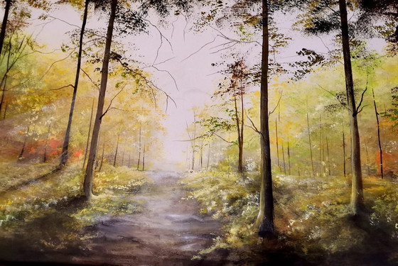 Image 1 of Patrycja Wachecka - Meine Wälder