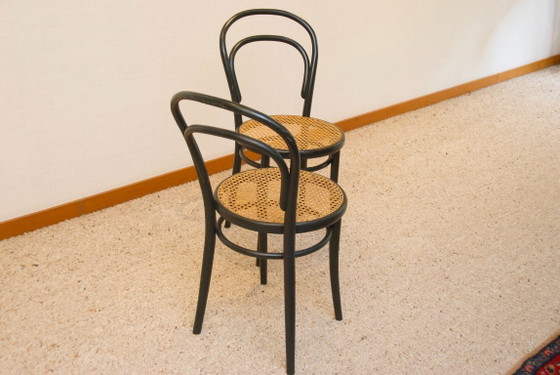 Image 1 of Ligna Bentwood Chairs noir: rotan