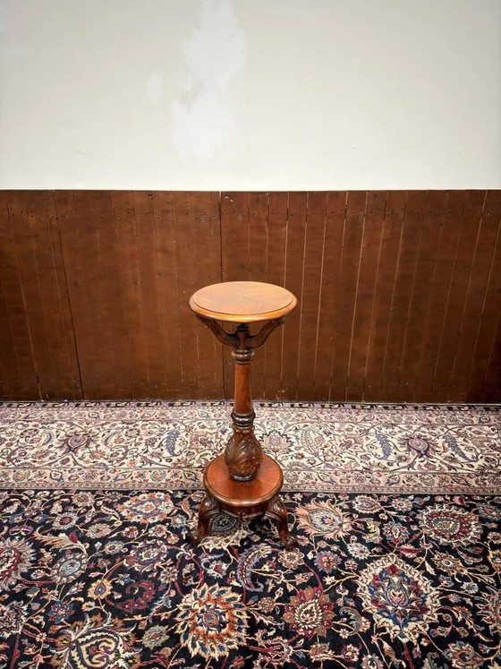Support de plante classique Old English Pied De Stalle, Tables d'appoint, Chesterfield (photo 2 sur 11)