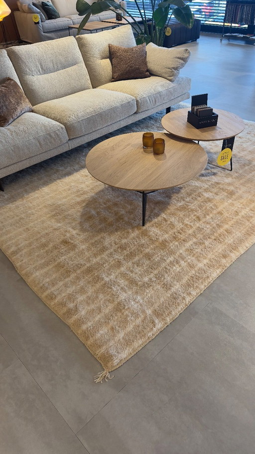 Linteloo Flow rug - 200x300