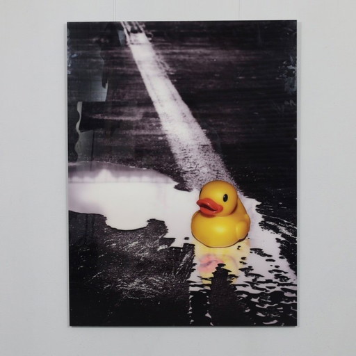 Ivana Vostrakova – “Spring Swimming” Digital Artwork, 2013