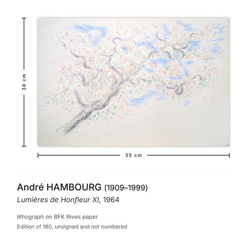 André HAMBOURG Lights of Honfleur XI lithograph 1964