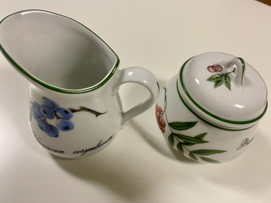 Image 1 of Apilco Elysian Garden Tableware