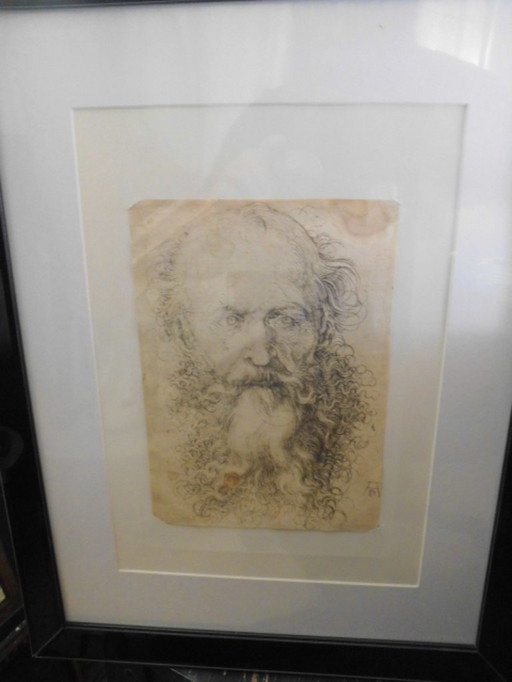 engraving Albrecht Dürer