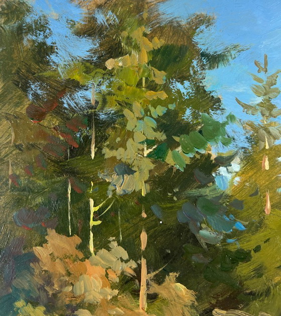 Image 1 of Peinture à l'huile originale Paysage d'été au bord d'une rivière Eaux silencieuses de la forêt
