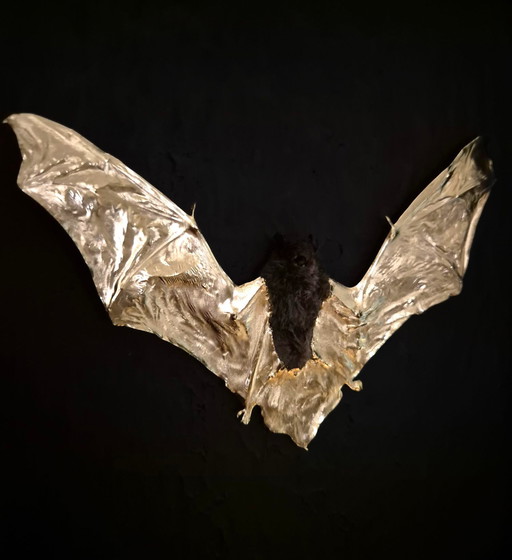 Genuine Bat 23kt Gold Gilded in Frame Taxidermy Artwork