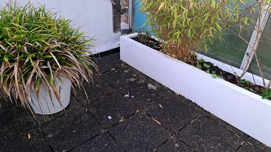 Image 1 of 2 fioriere Ibiza