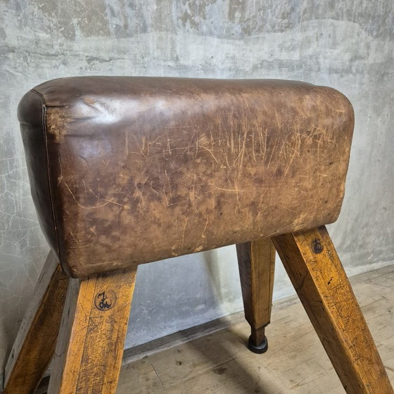 Image 1 of Vintage turnpaard, Tsjecho-Slowakije, jaren 60