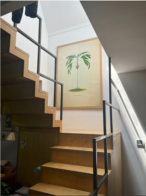 Hochwertiger botanischer Kunstdruck des dänischen Designhauses The Dybdahl Co. | | Größe: 120 x 166 cm