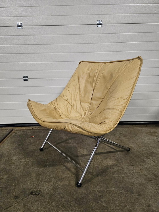 Image 1 of Teun van Zanten