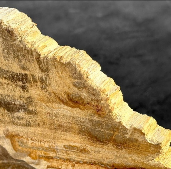 Image 1 of Madera fosilizada de Sooka, estándar a medida (nuevo)