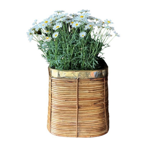 Rattan and brass basket | Italy | 1970s