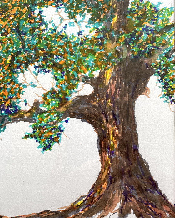 Image 1 of Cambio di stagione