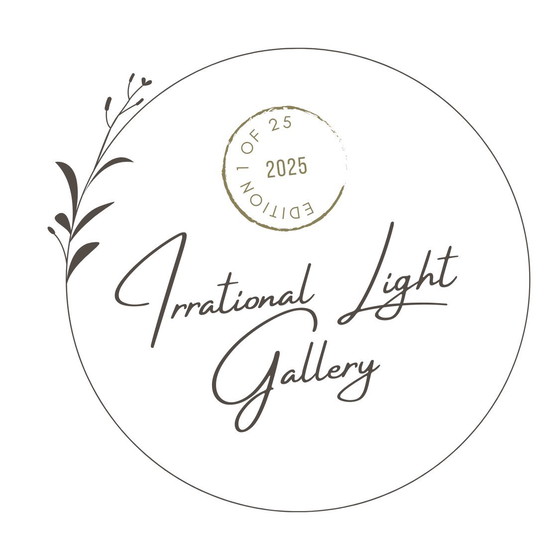 Image 1 of Stillleben mit Blumen und fallenden Blütenblättern (XL) Limitiert und signiert