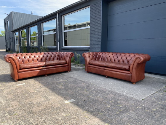 3+3 Seater Sofas Cigars Cognac Bendic – Leather, Wood (photo 8 of 8)
