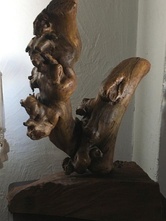 Sculture in legno organico chiamata "Doble Impulso", Marrone, Organic Modern (foto 4 di 12)
