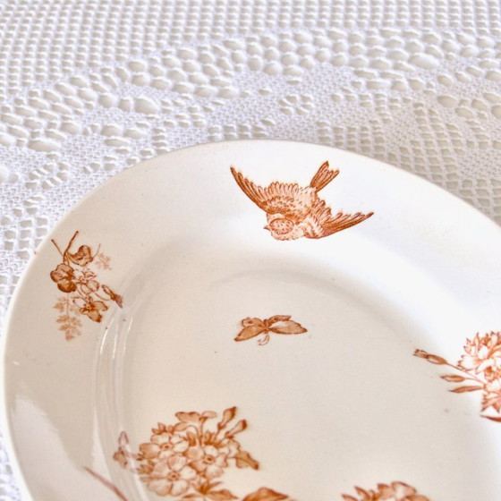 Image 1 of Grand Plat Ovale XIXe signé Longwy Terre De Fer Sépia "Botanique"