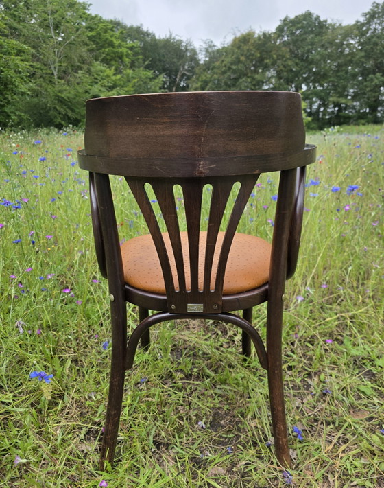 Image 1 of Chaise de café Satellite de style Thonet avec structure en autruche