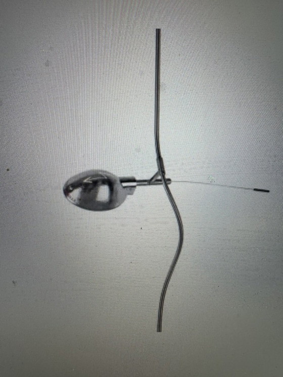 Image 1 of Ingo Maurer Aquiles caliente