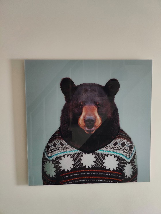 Zoo Portrait: BEAR di Yago Partal (Edizione Limitata 6/75) – 80x80cm – Fotografie, Other (photo 3 of 5)