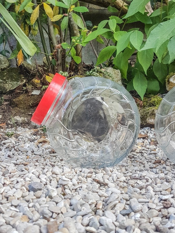 Vintage Glass Jar CONVETRO Made in Italy – Decorative Objects, Plastic (photo 2 of 8)