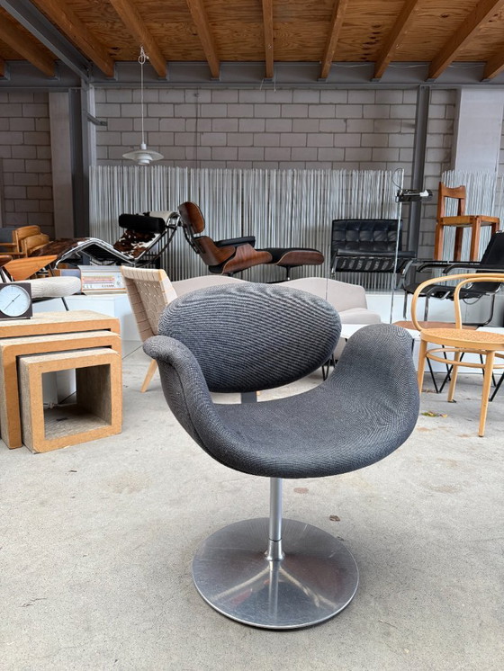 Image 1 of 4x Piccolo tulipano Artifort