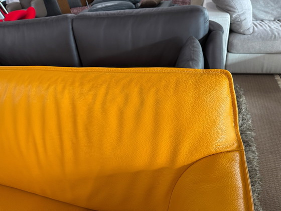 Leolux Mayon 3-Sitzer Sofa – 3-5 Sitzer Sofas, Leder (photo 6 of 10)