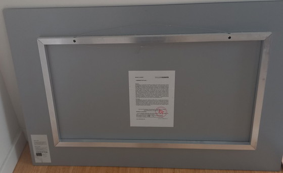 Image 1 of foto acrys Laurent Baheux steekt de vlakte over