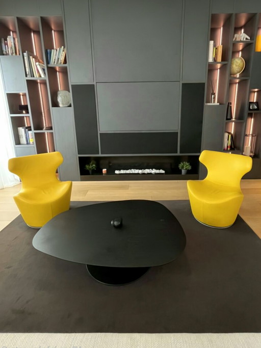 Piccola Papilio fauteuils B&B Italia