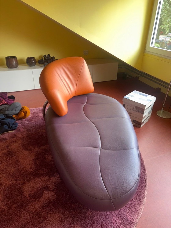 Leolux Sofa – 2 seaters, Other (photo 3 of 5)