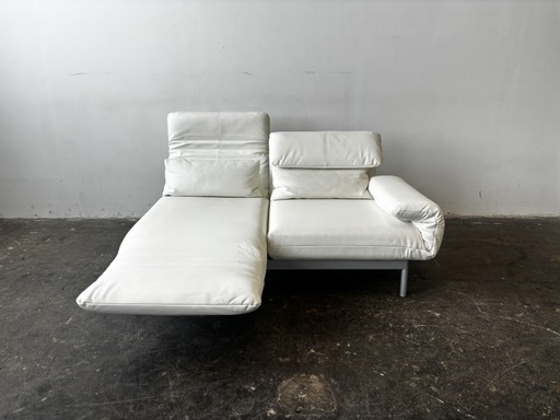Rolf Benz Plura Divano Designer Pelle