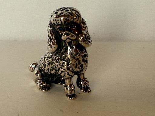 Caniche Saturno en argent massif