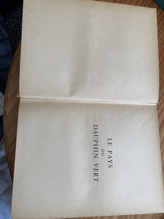 Image 1 of La terra del delfino verde