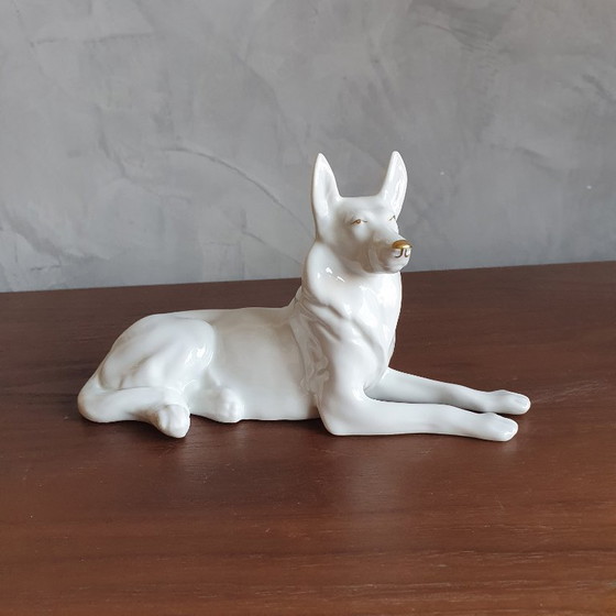 Image 1 of Cane da pastore in porcellana vintage di Hollohaza dall'Ungheria, anni '60