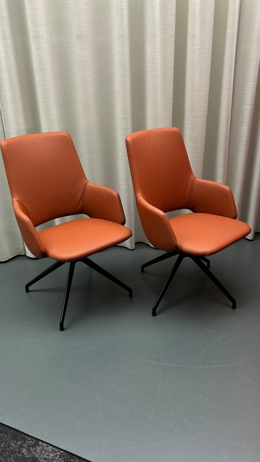 Artifort Jima Highback set di 2 pezzi