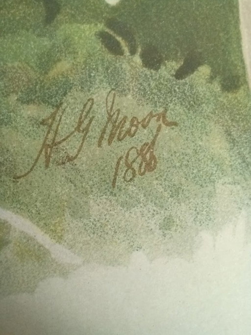 Cromolitografia originale 'Reichenbachia' 1888 – H.G. Moon